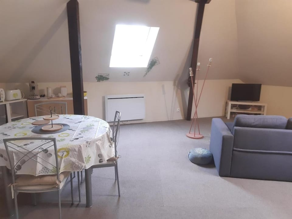 Appartement tout confort Apartment in Centre-Val de Loire
