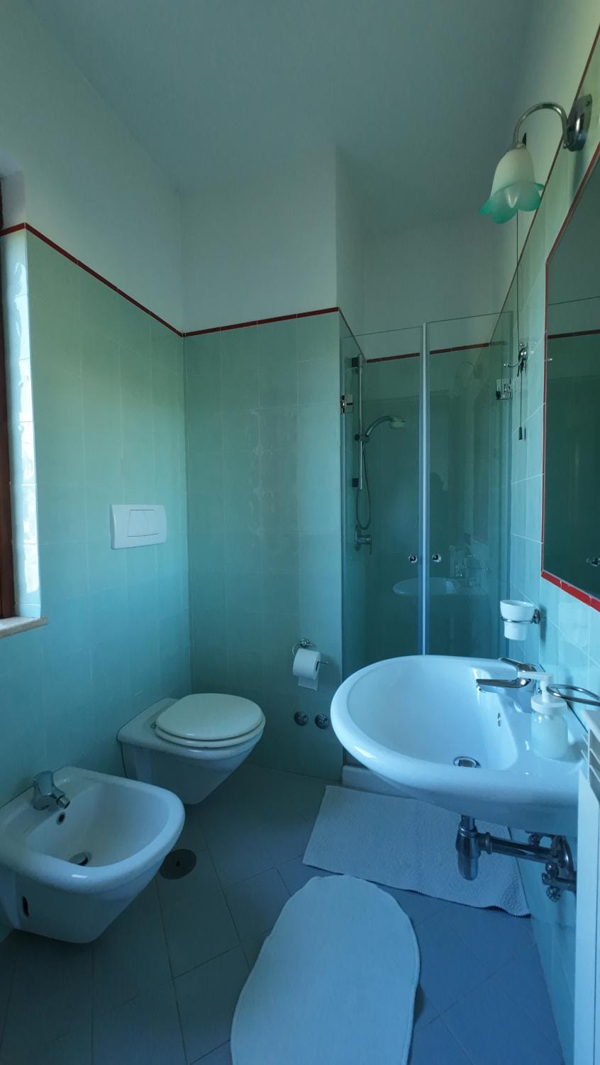 Shower, Toilet, Bathroom, bidet