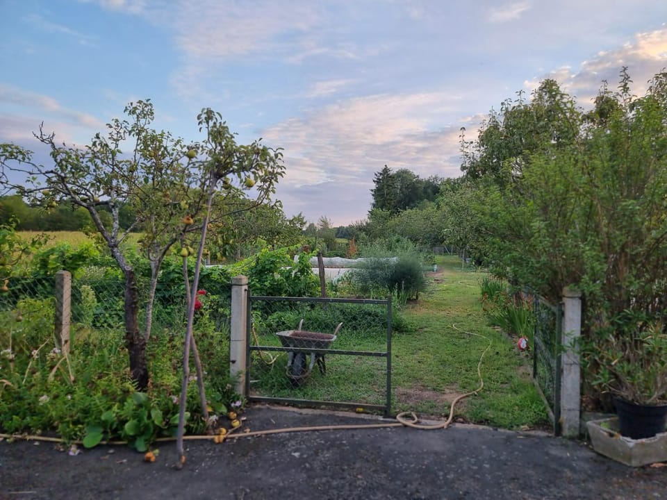 Natural landscape, Garden view