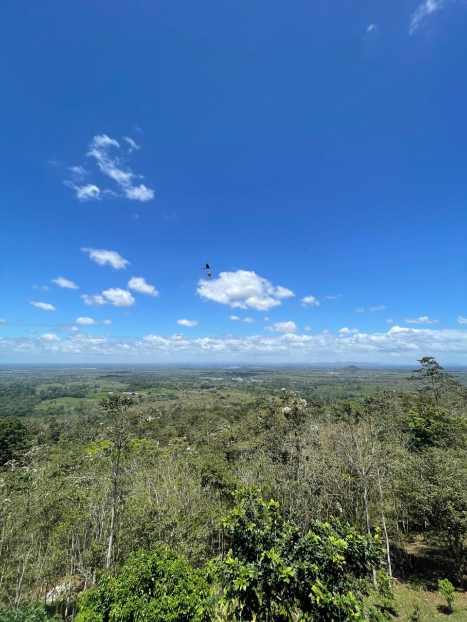 Natural landscape