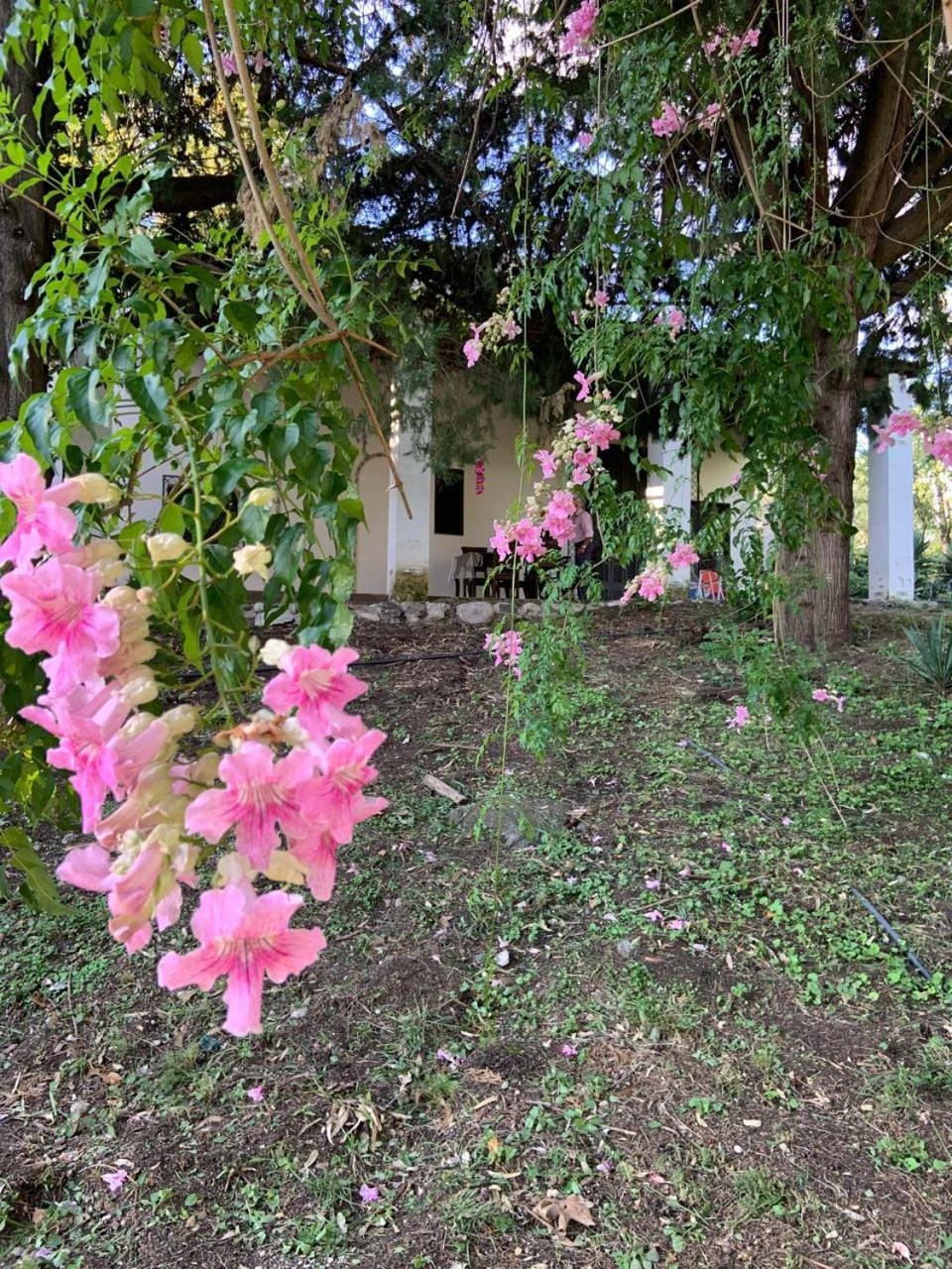 Casa grande y hermosa en alquiler por día en San Javier,traslasierra, Córdoba House in San Luis Province, Argentina
