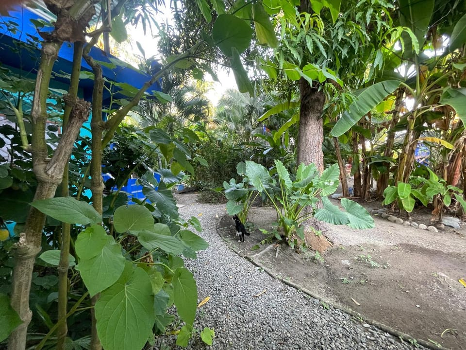 Casa Malinalli Apartment hotel in Zihuatanejo