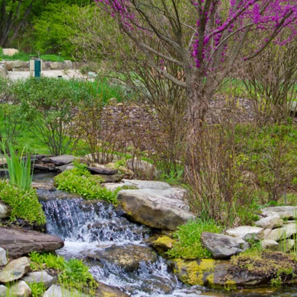 Fairlawn Serenity Retreat House in Fairlawn