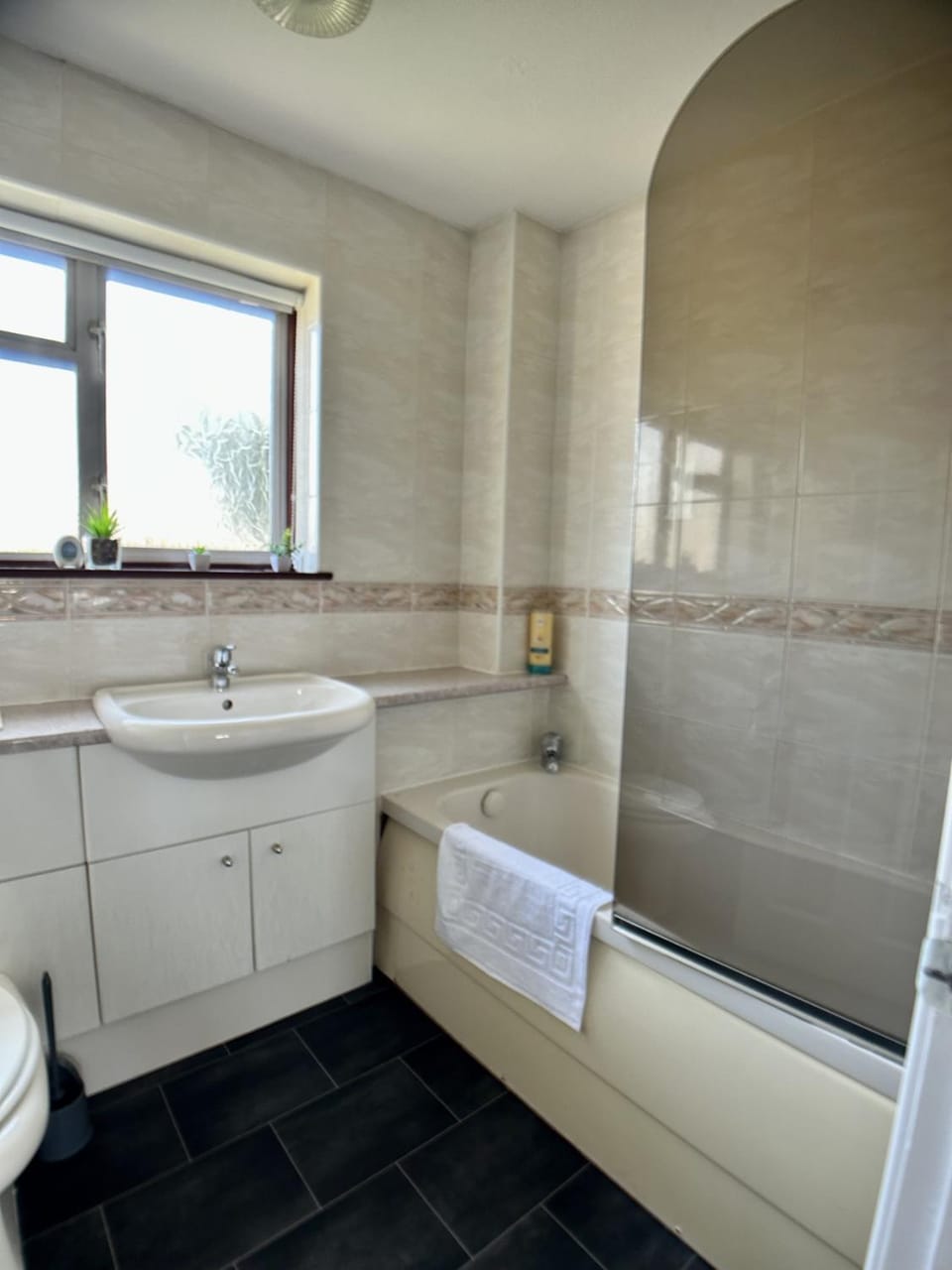 Shower, Toilet, Bathroom, Bath