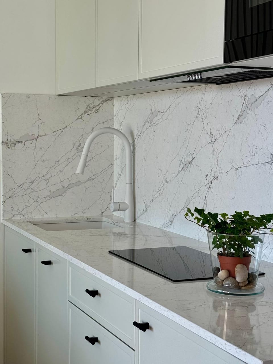 Day, Kitchen or kitchenette, Decorative detail, dishwasher