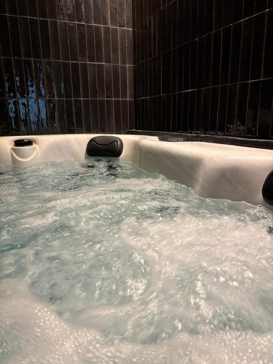 Hydra Haven l Sauna & Jacuzzi l Luxury Wellness Loft Apartment in Poland
