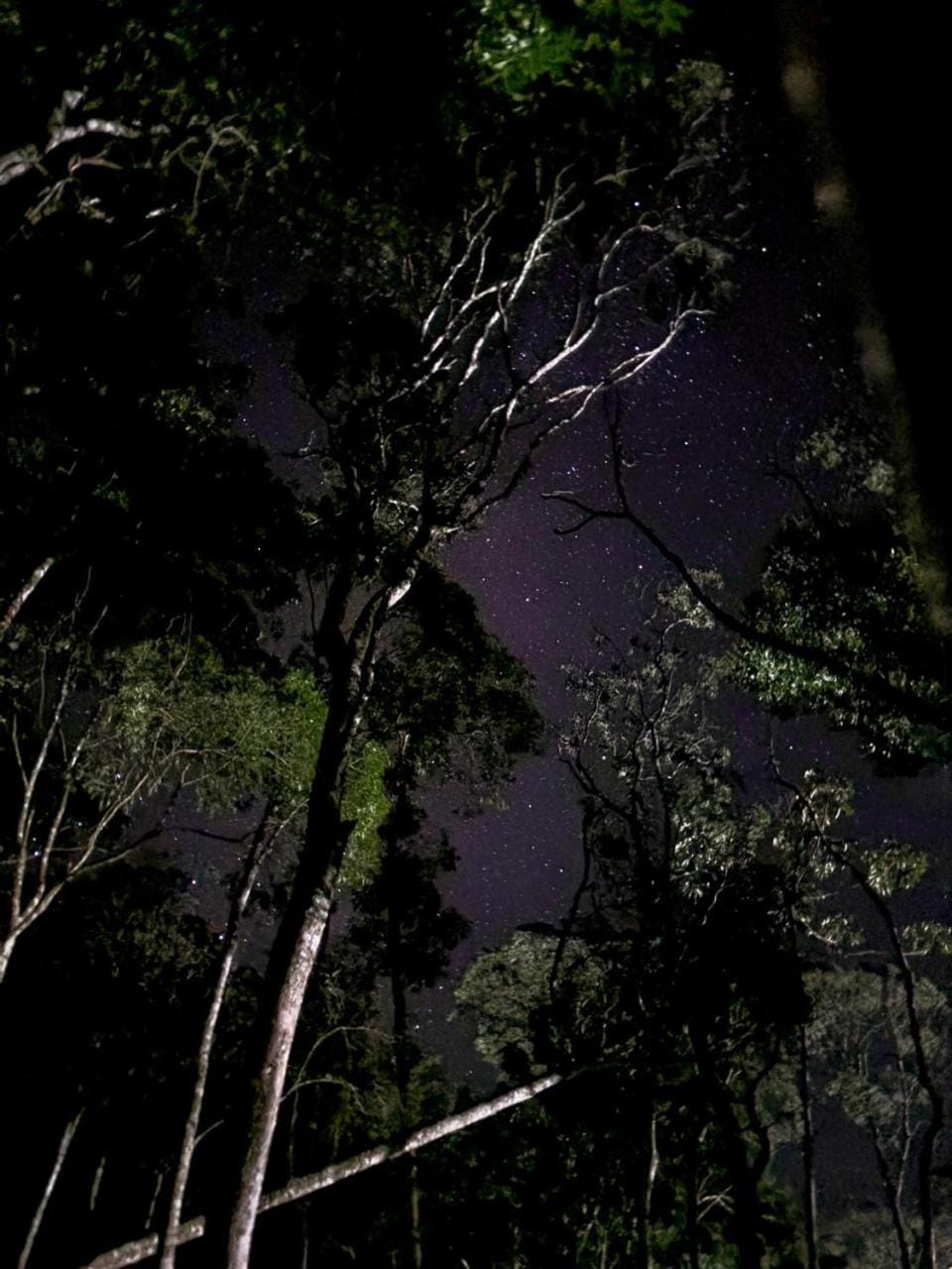 Night, Natural landscape