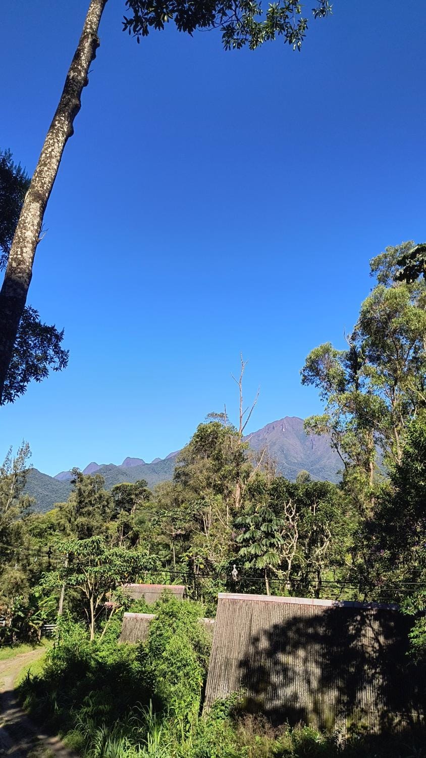 Serra da mantiqueira - PNI - Chale do Zeh Chalet in State of Rio de Janeiro