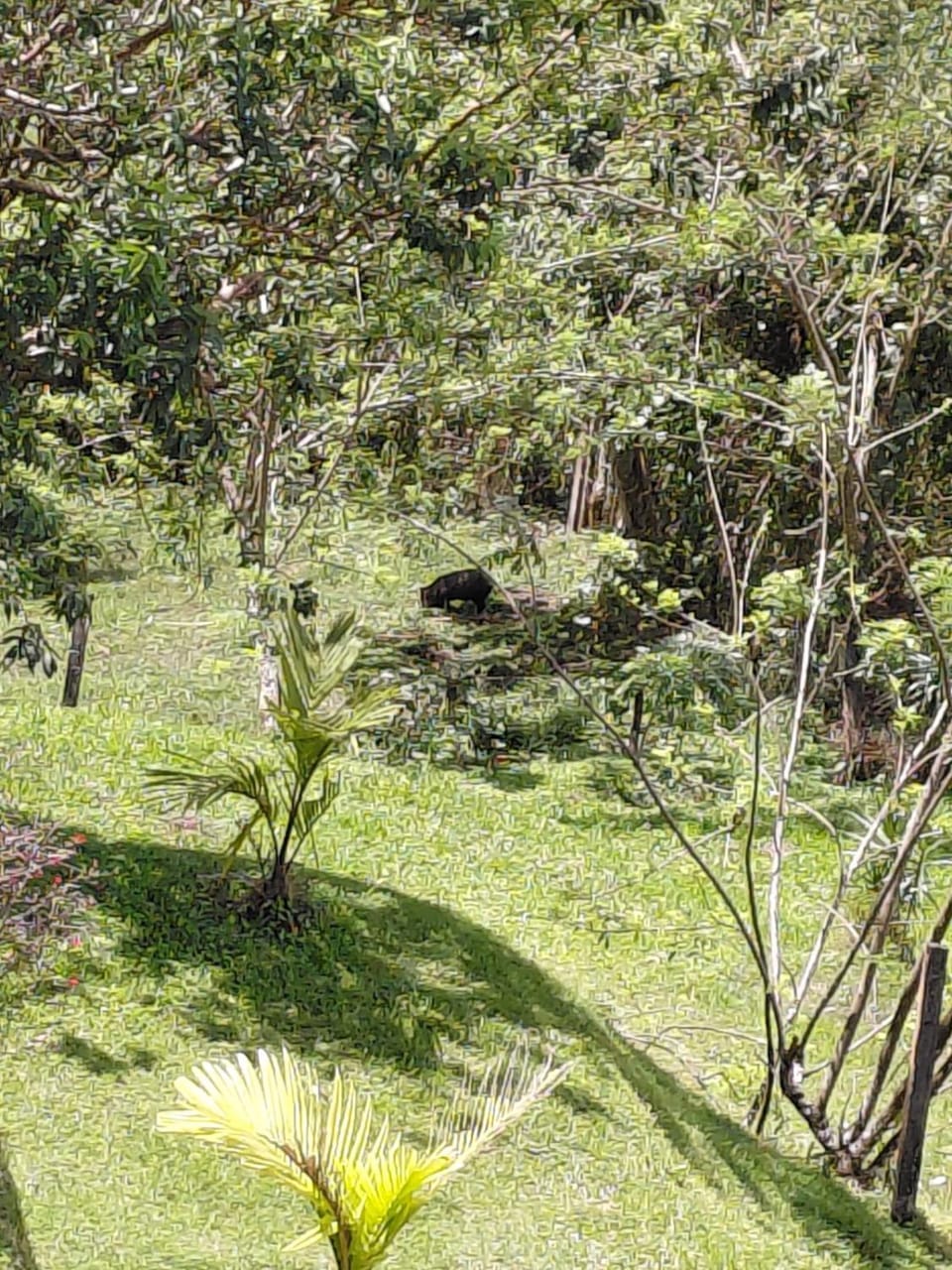 Villa Lago del Sol Bed and Breakfast in Alajuela Province