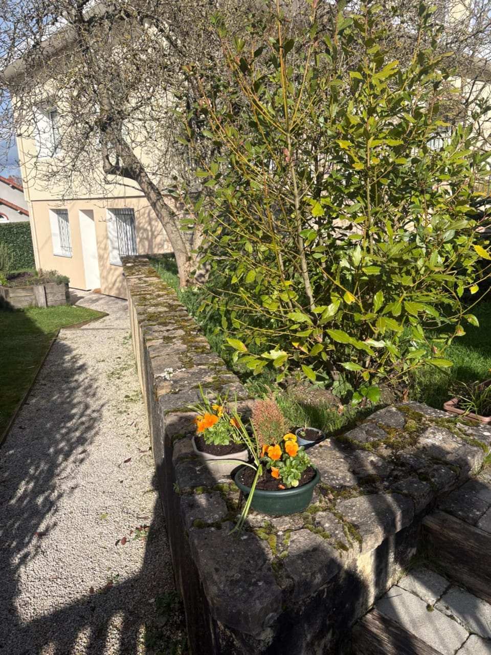 Le Petit Jardin House in Bourgogne-Franche-Comté