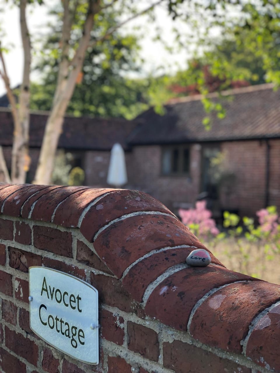 Avocet Cottage House in Dunwich