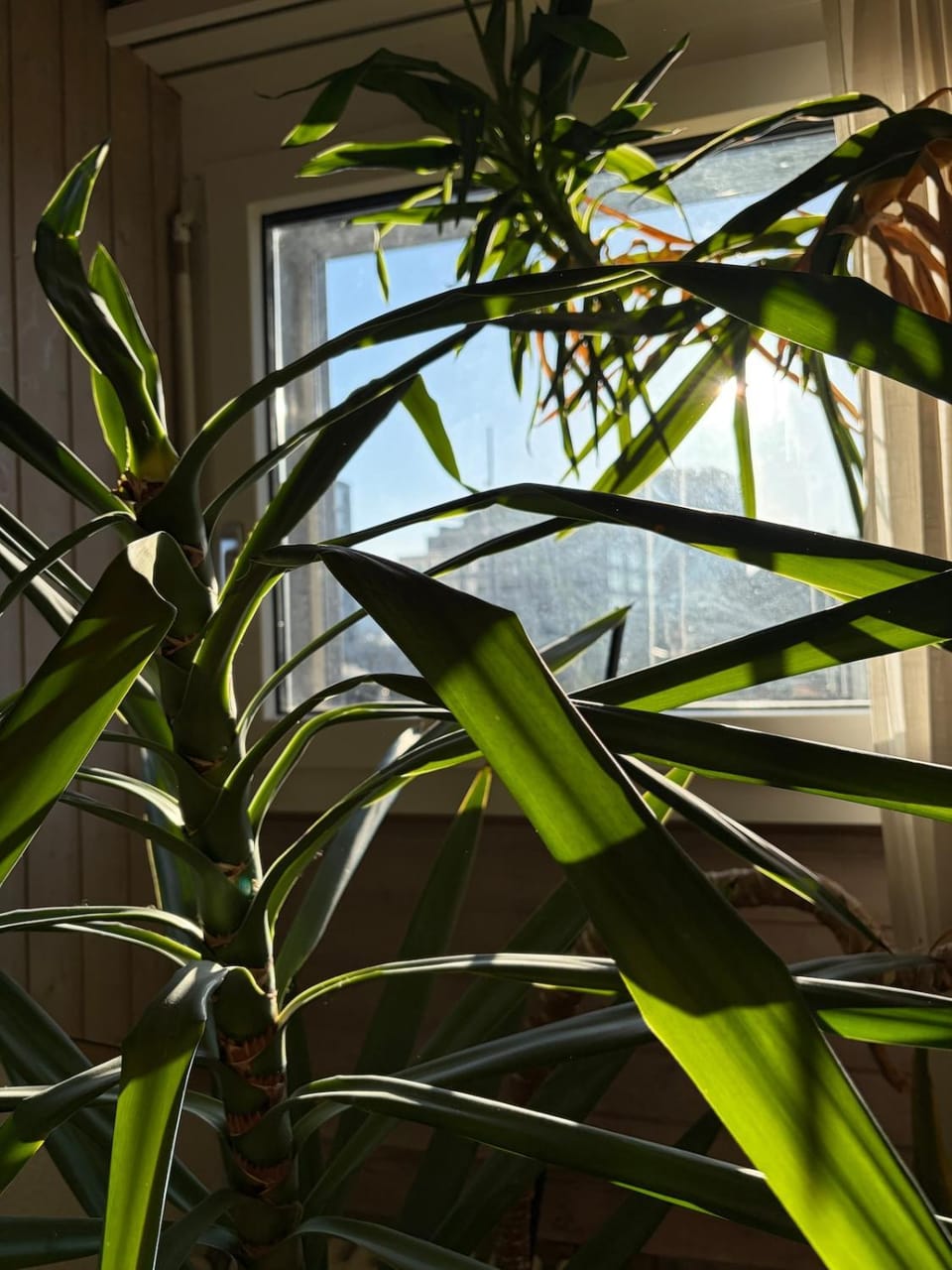 View (from property/room), View (from property/room)