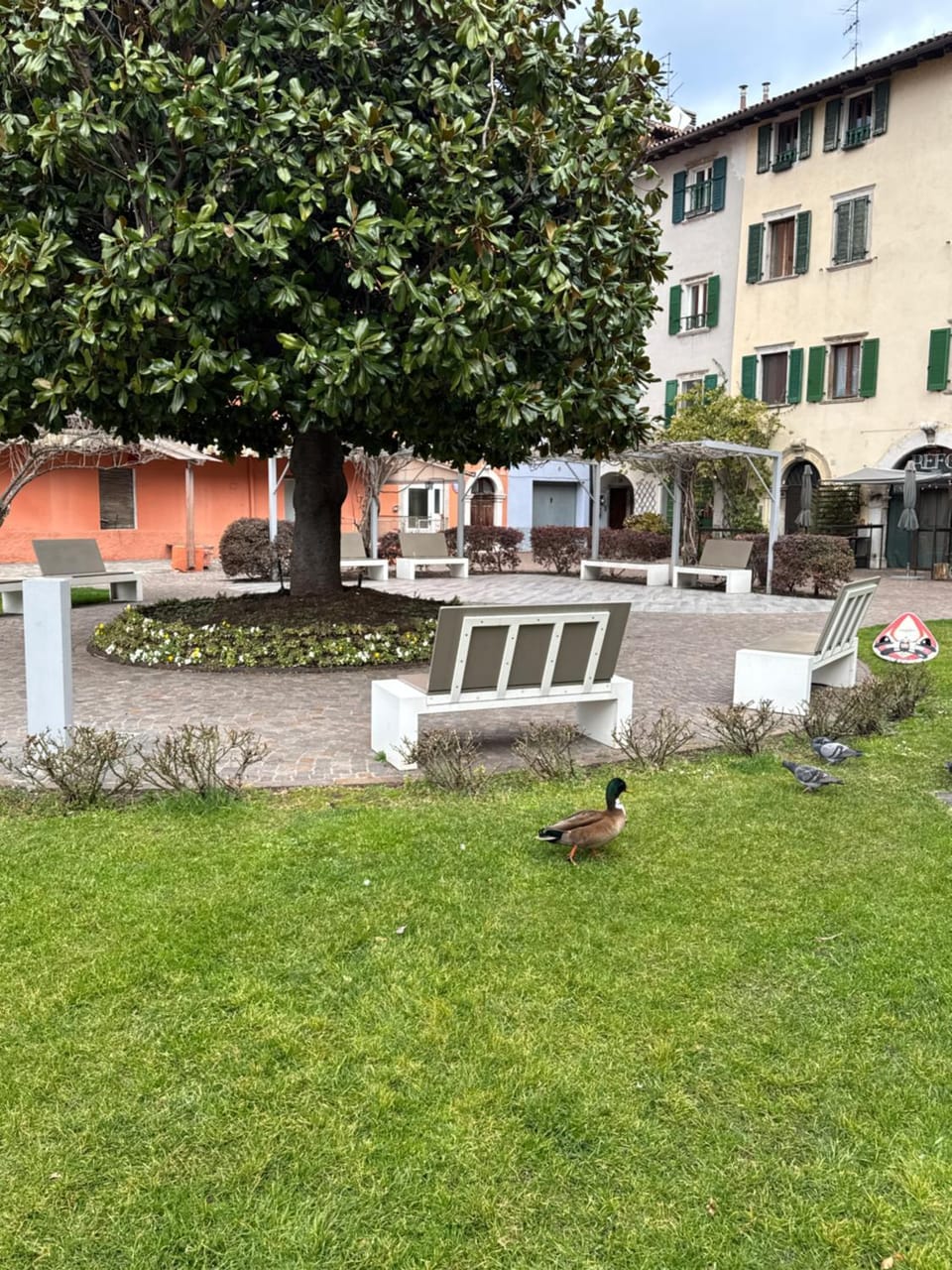Property building, Garden, Garden view