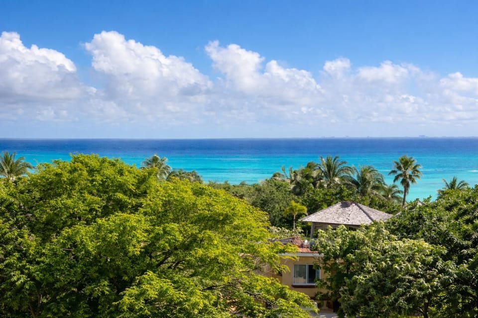 Sea view