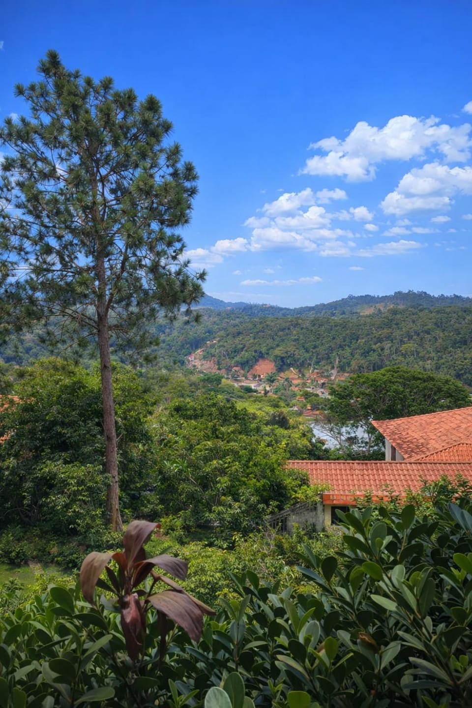 View (from property/room)