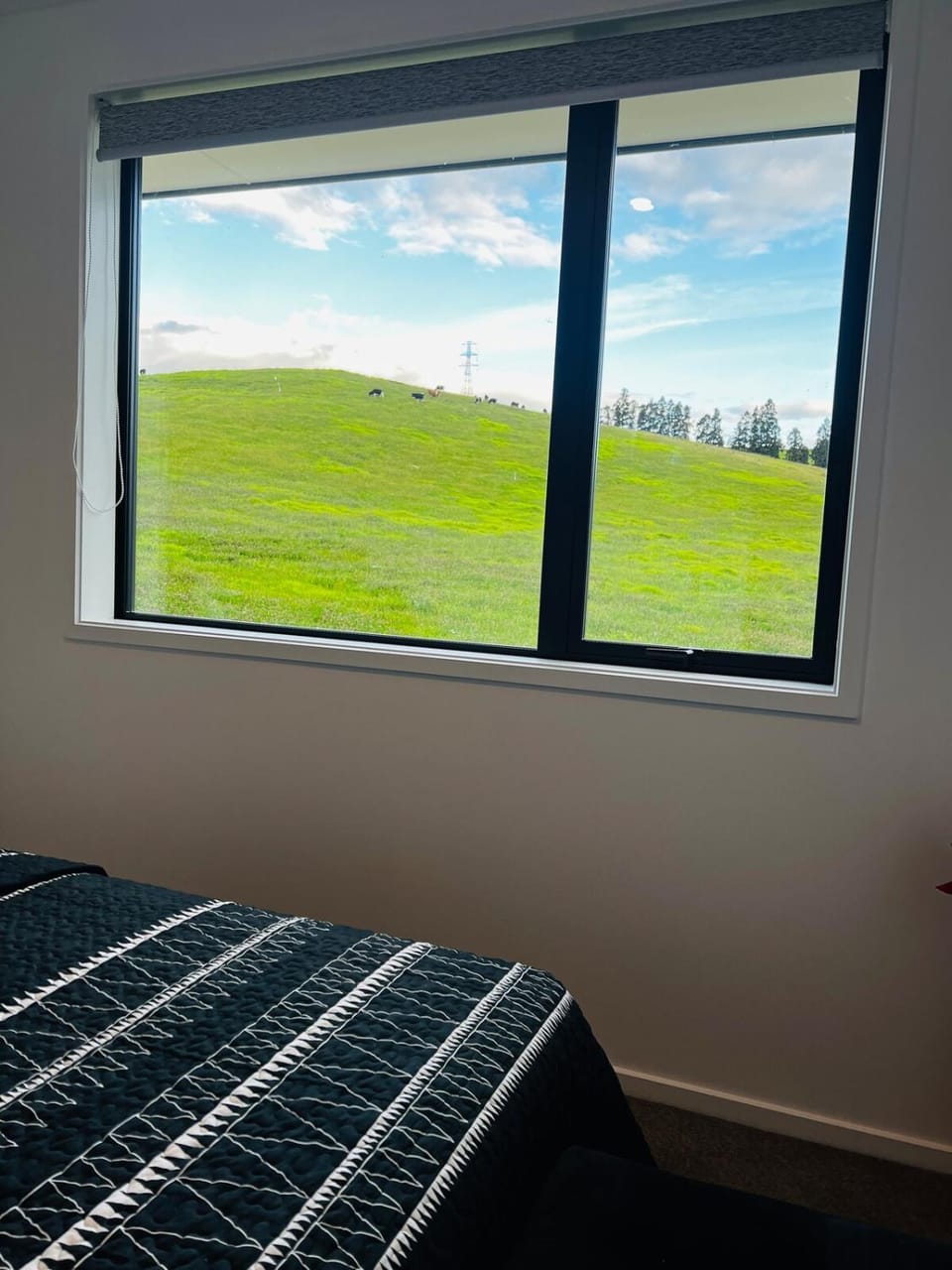 Farm View Retreat Guest House Apartment in Tauranga