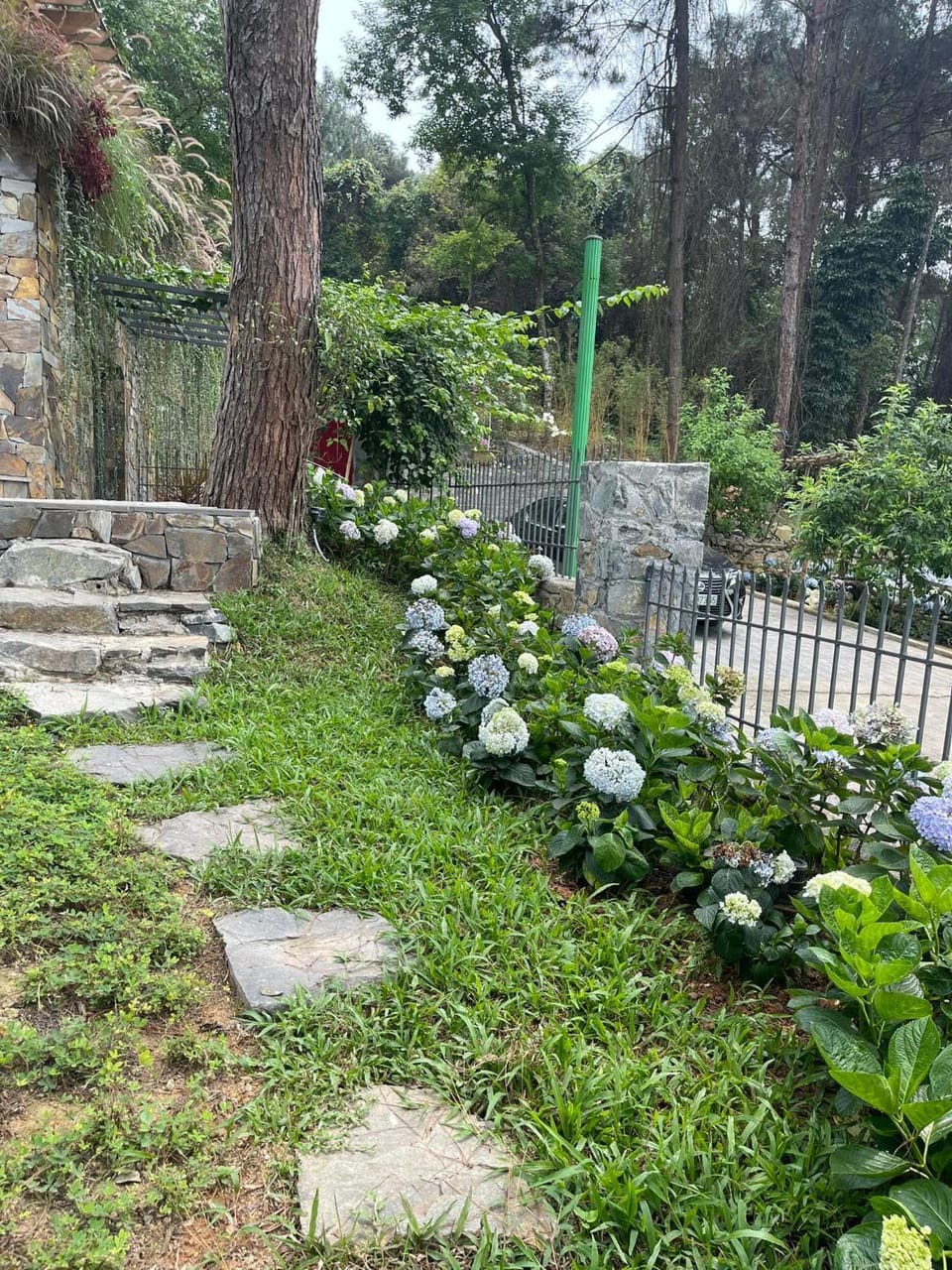 Garden