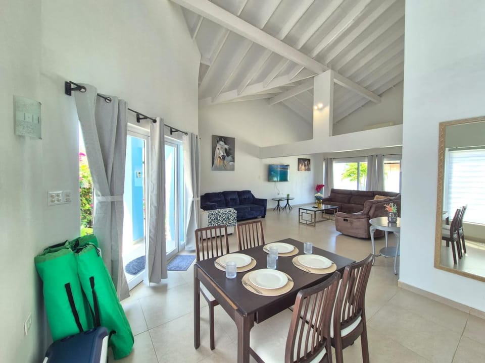 Villa Sirena Azul Apt 2 Apartment in Noord