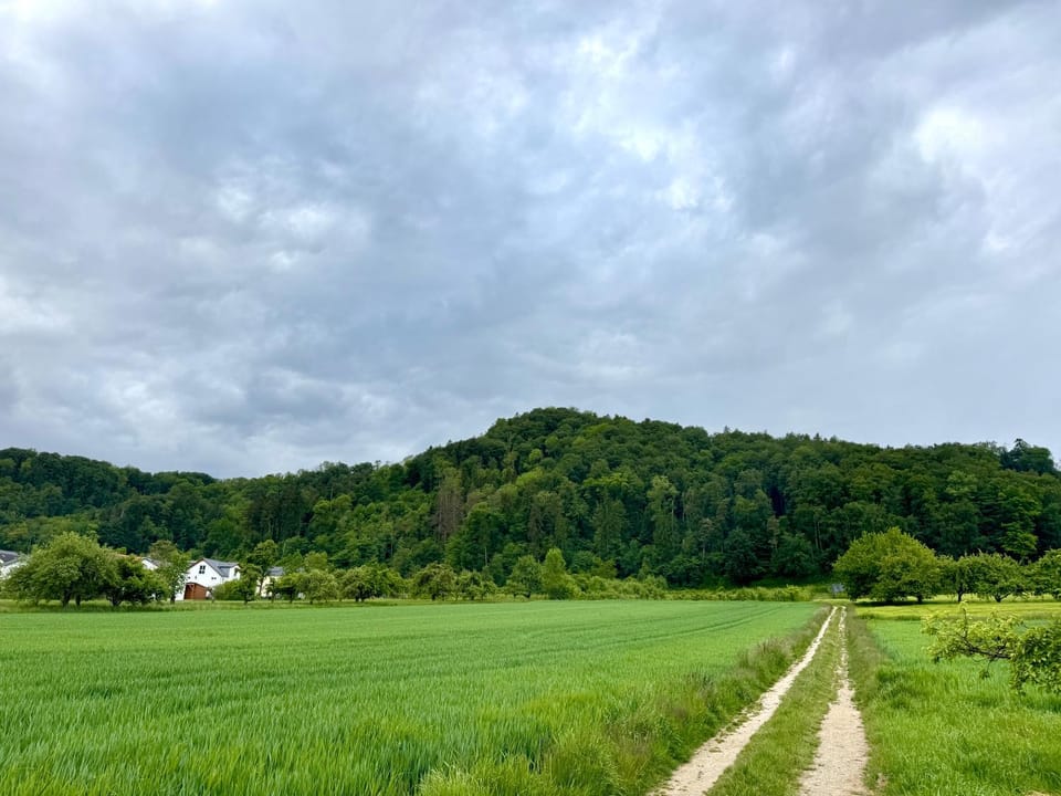 Hiking, Mountain view
