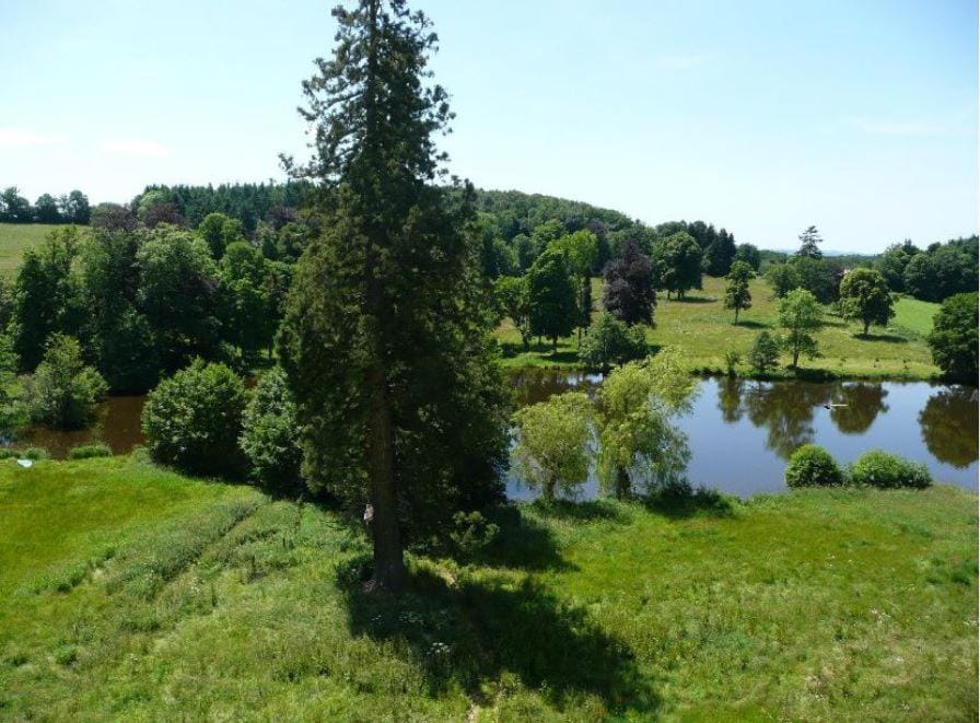 Day, Natural landscape