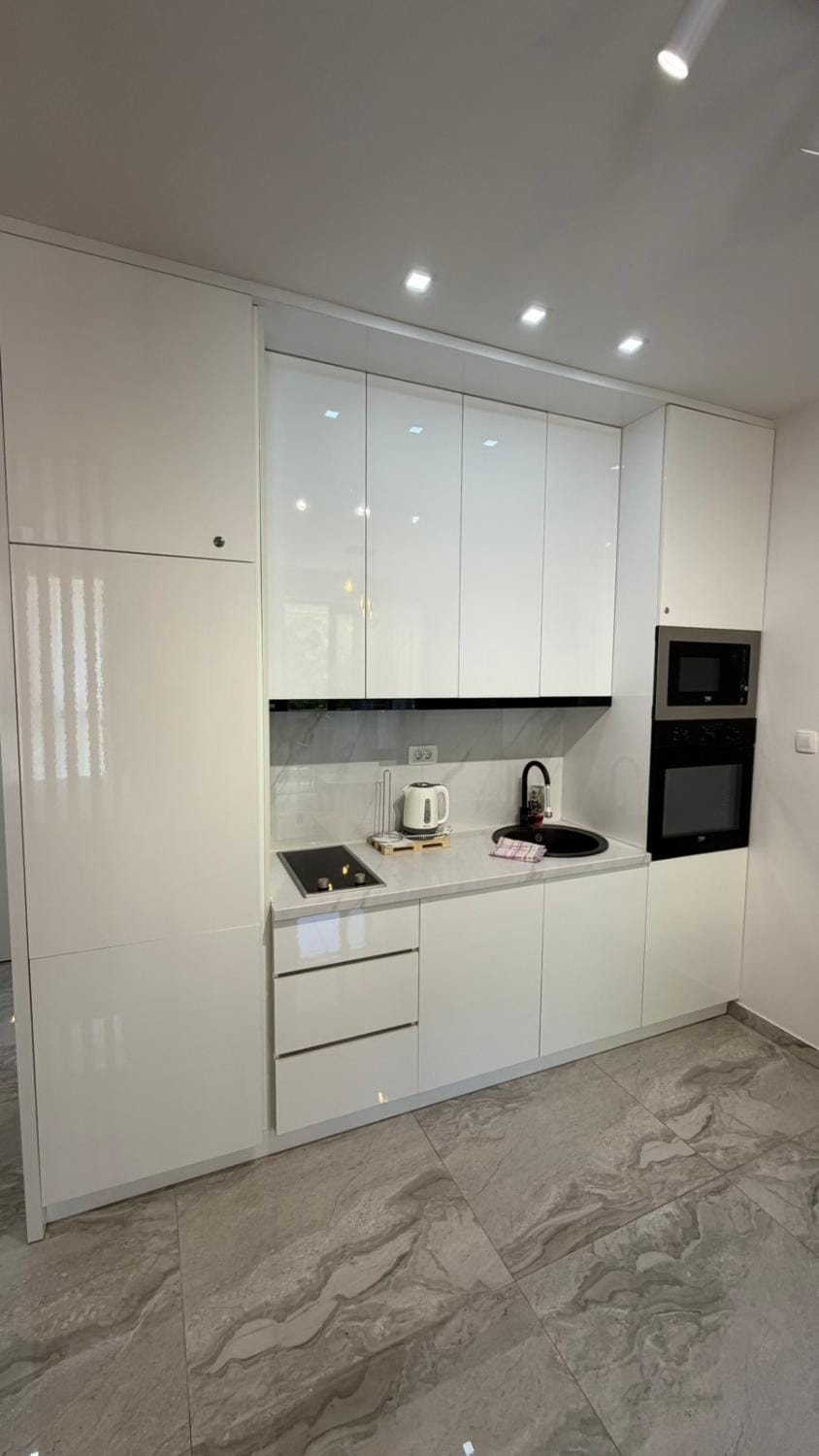 Kitchen or kitchenette, dishwasher, stove, toaster
