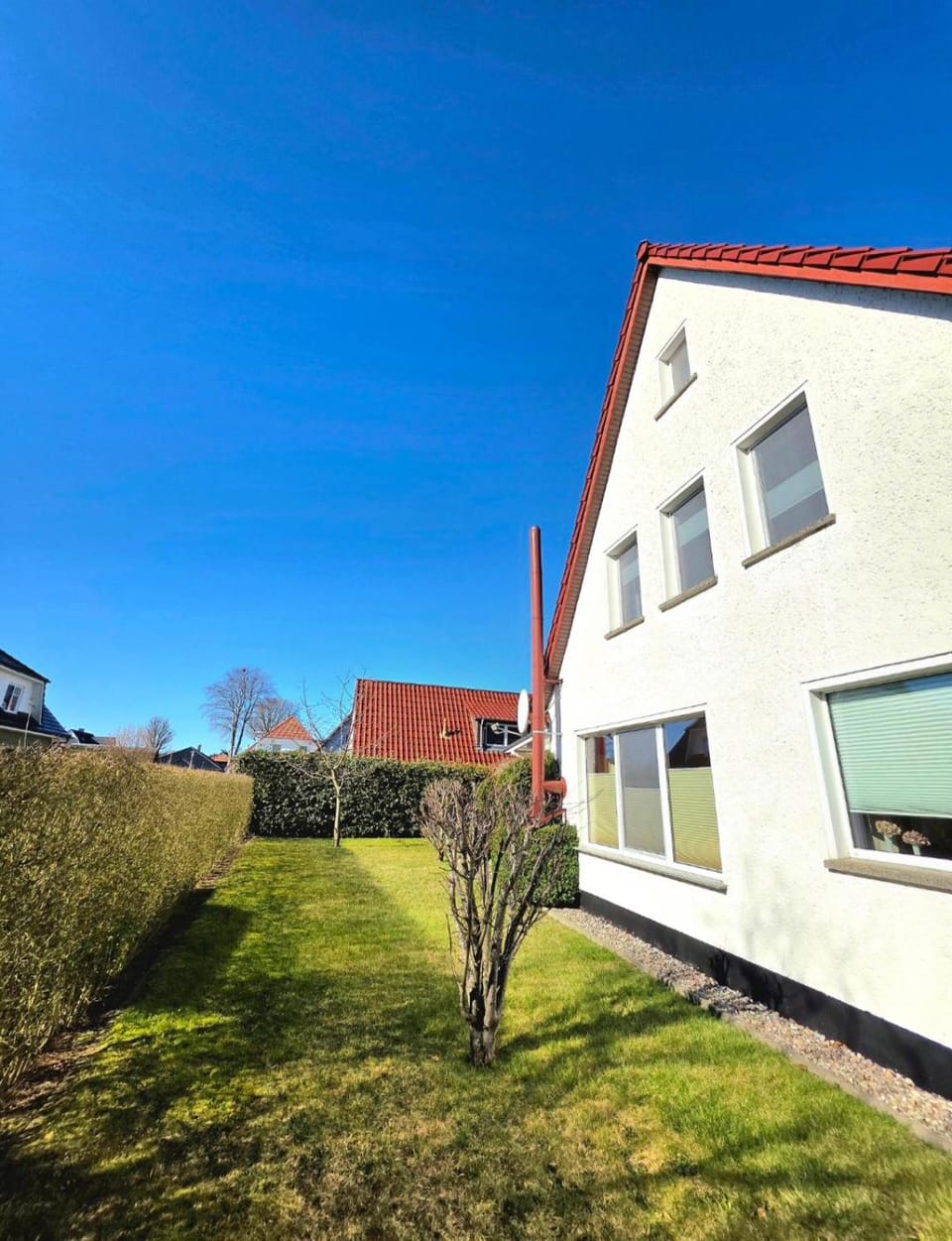 Property building, Garden, Garden view