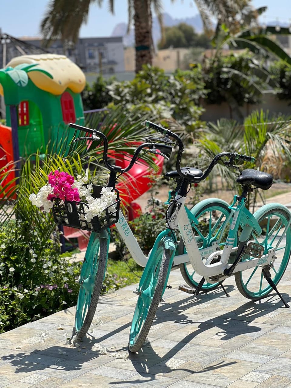 Cycling