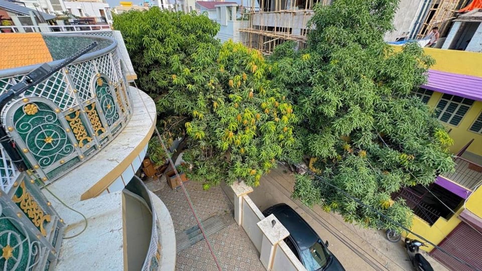 View (from property/room)