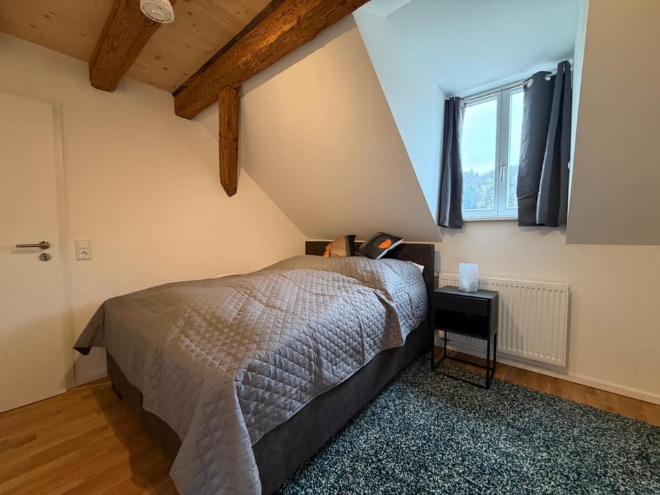 Schloss Espasingen Apartment 4 Apartment in Baden-Württemberg