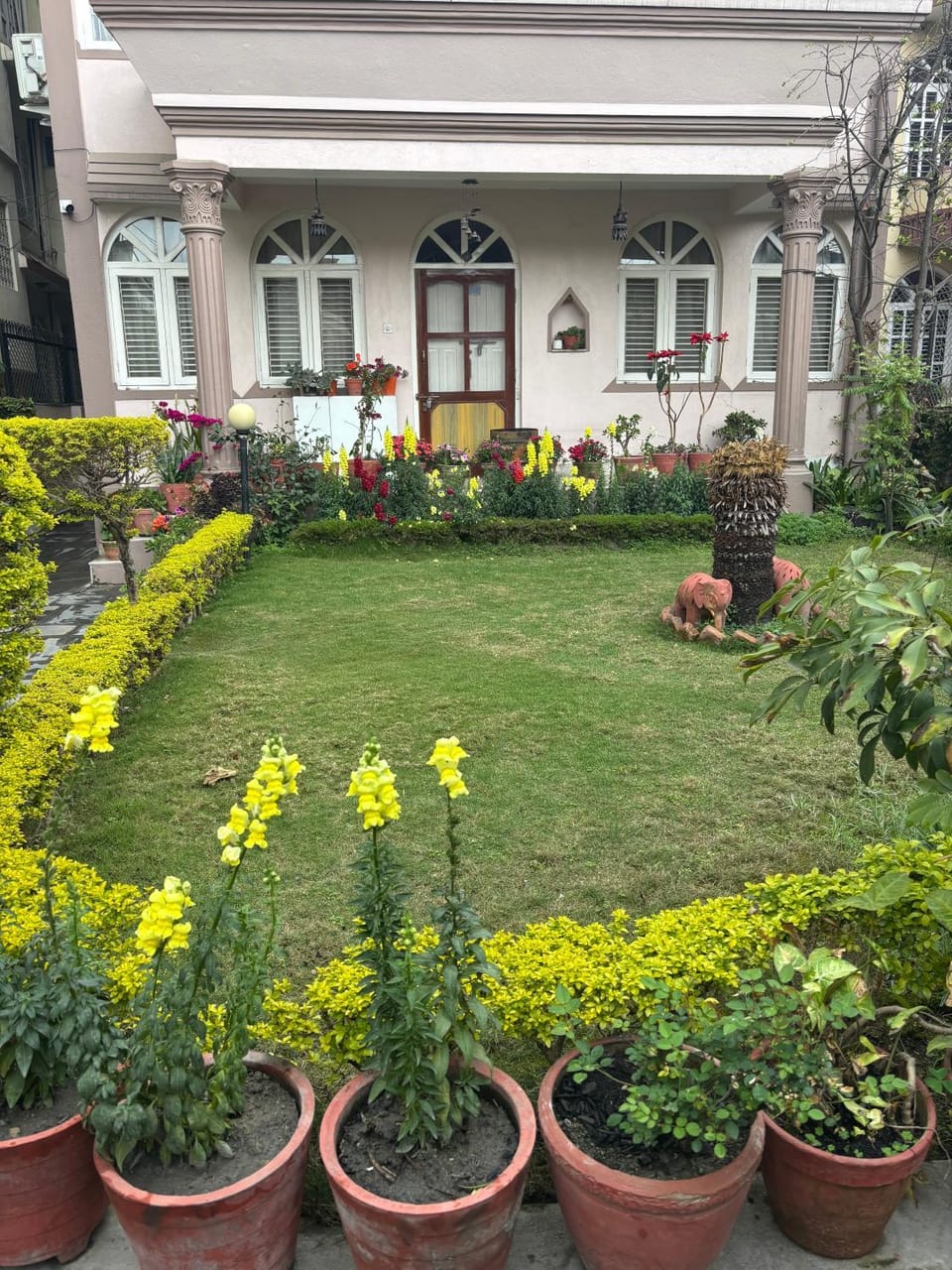 Garden