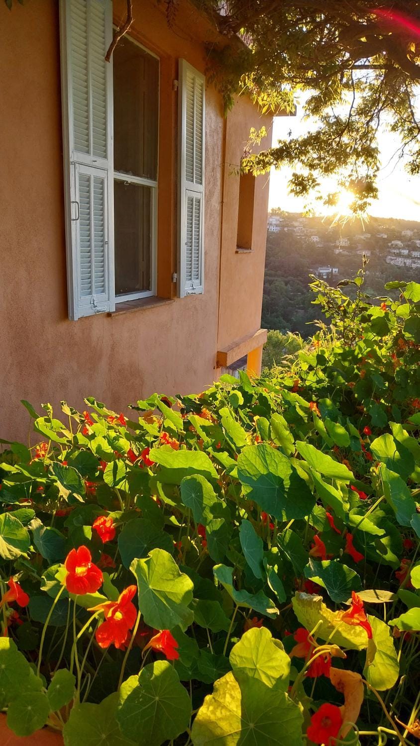 Appartement entre mer et montagne Apartment in Vence