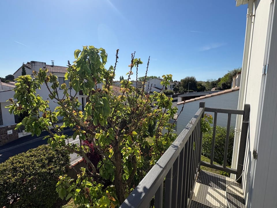 Balcony/Terrace, Garden view