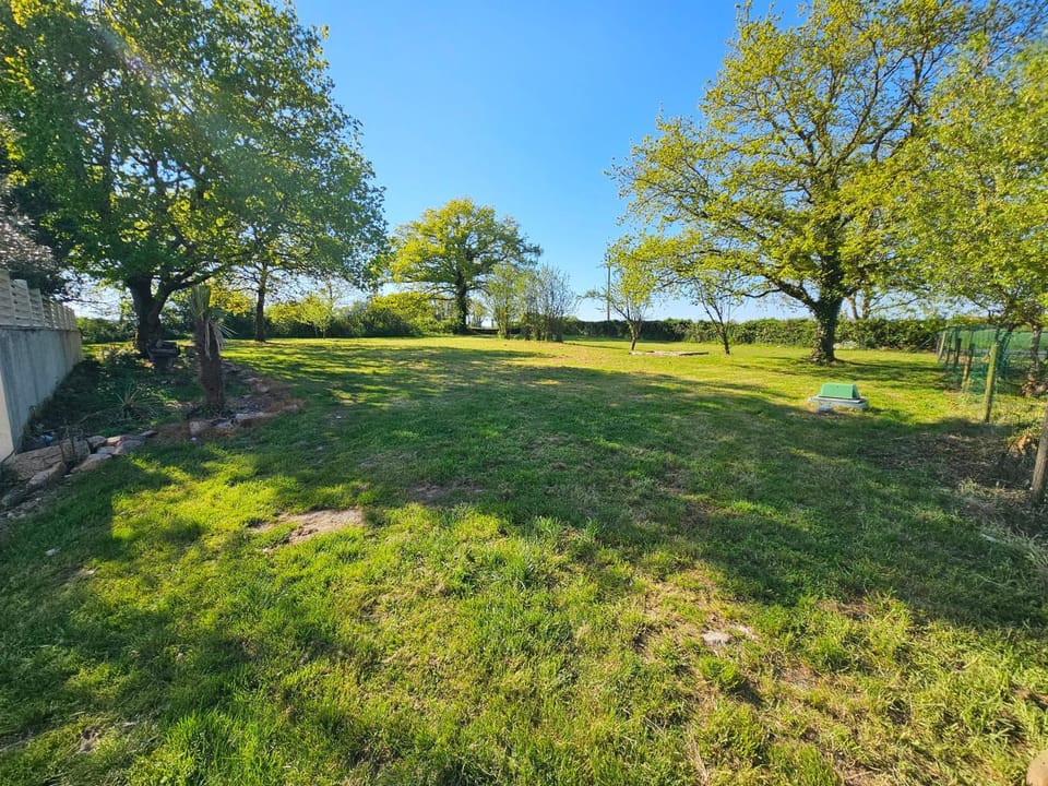 Natural landscape, Garden, Garden, Garden view