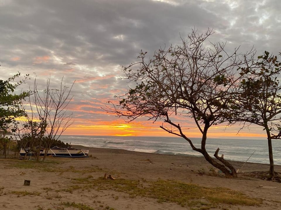 Natural landscape, Beach, Sea view, Sunset