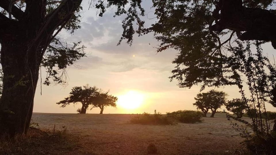 Natural landscape, Sunrise