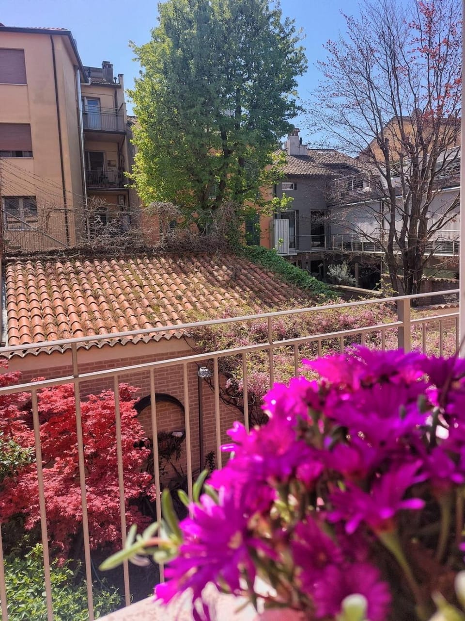 Inner courtyard view
