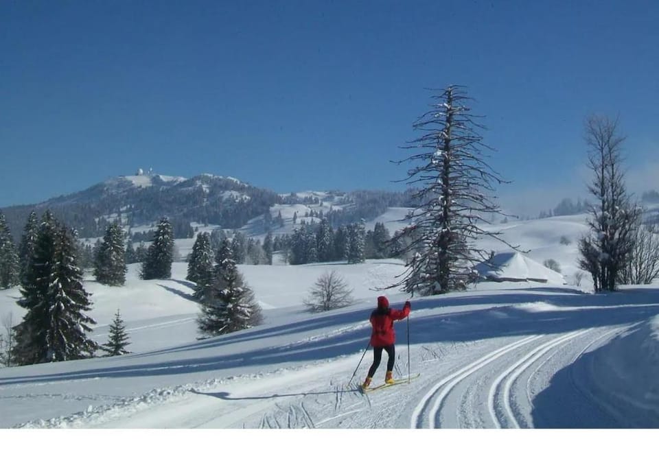 Chalet de vacances Col de la Faucille House in Gex