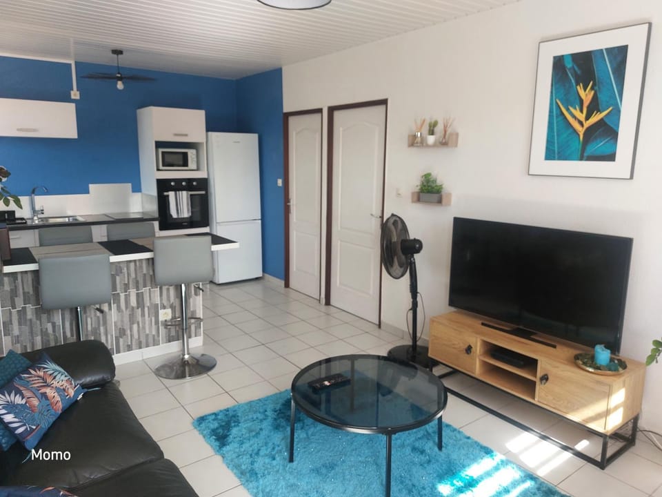 Turquoise Apartment in Cayenne