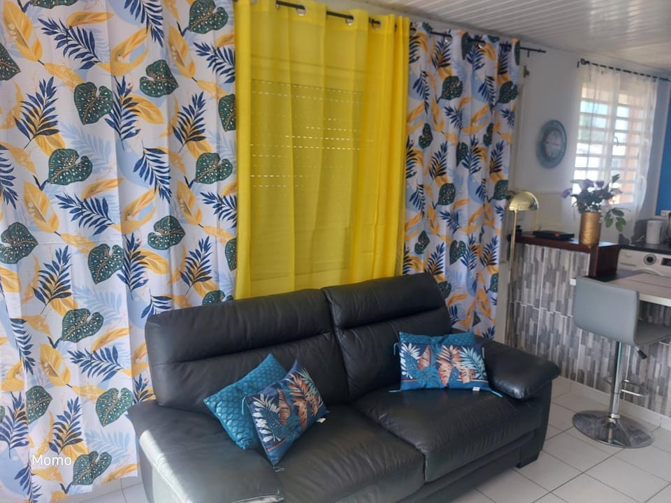 Turquoise Apartment in Cayenne