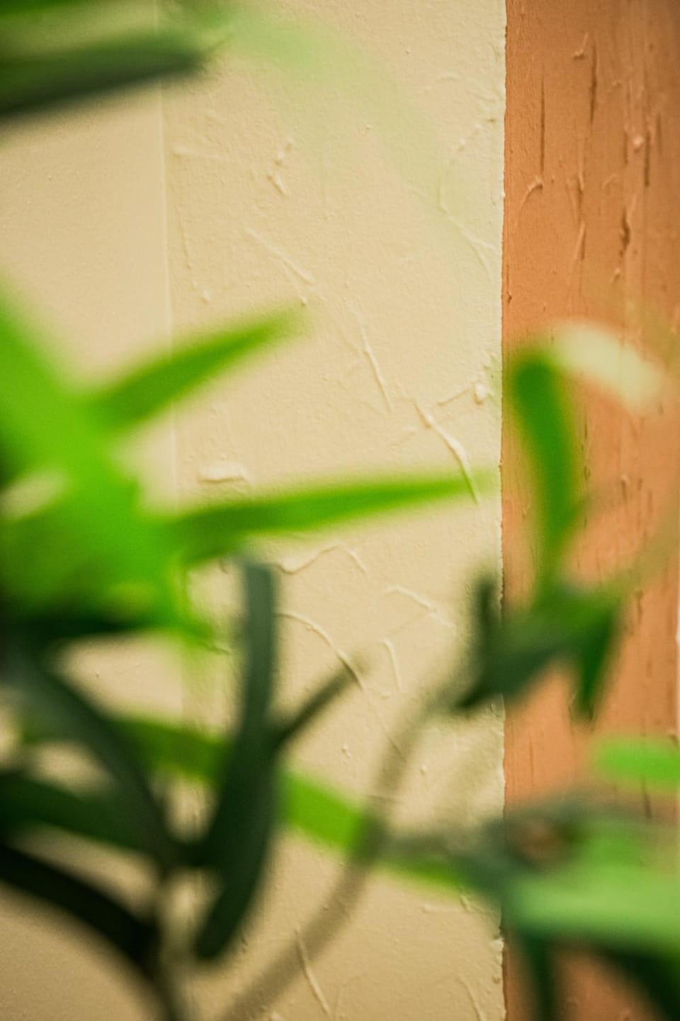 Decorative detail