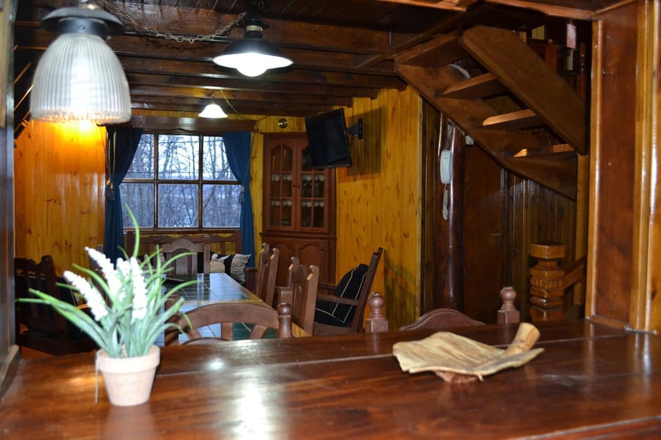 TV and multimedia, Kitchen or kitchenette, Living room, Photo of the whole room, Decorative detail, Dining area, Garden view