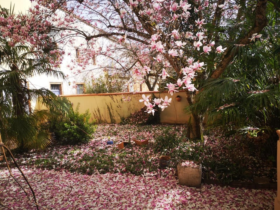 Chez ma poule Bed and Breakfast in Occitanie