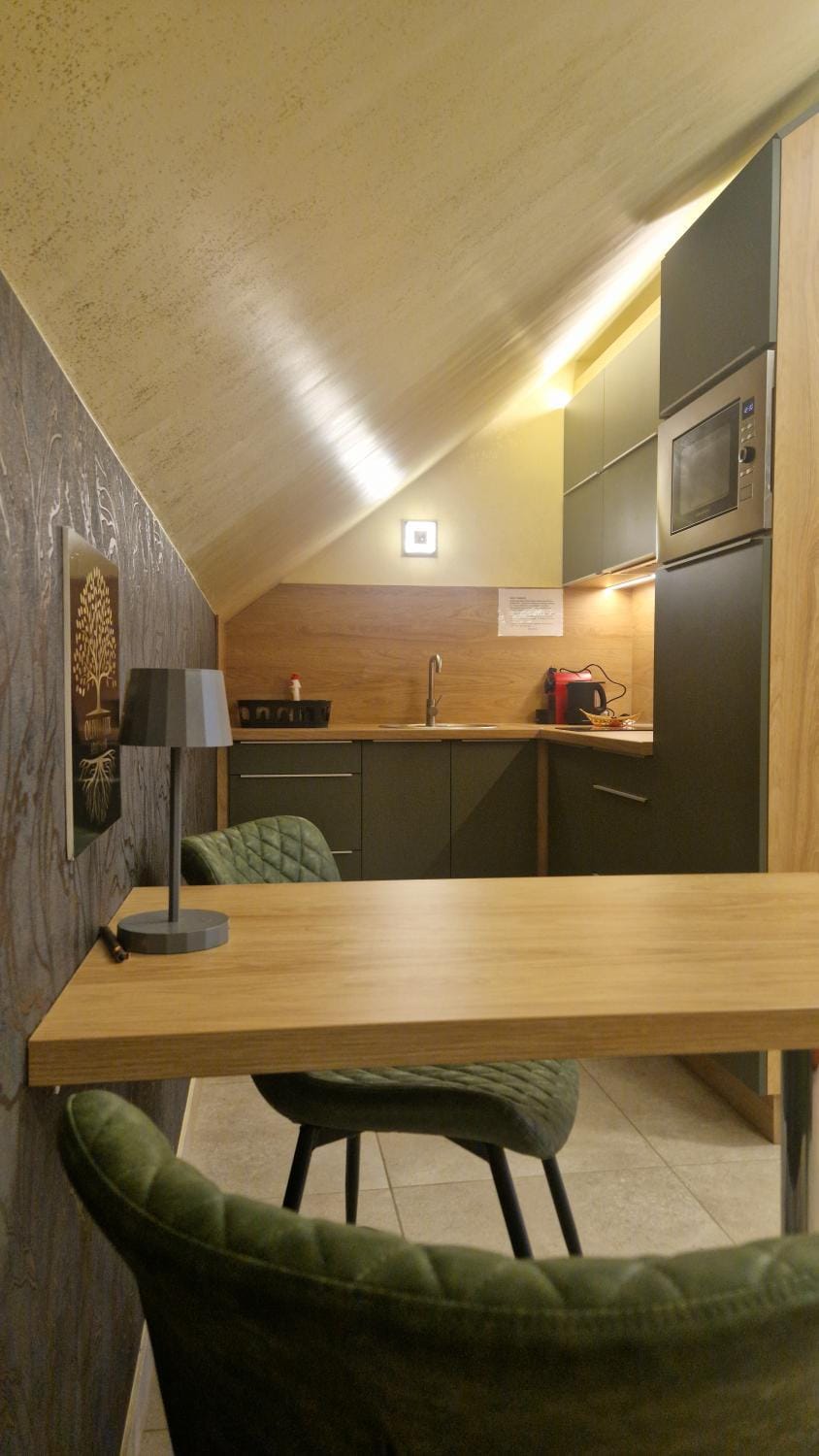 Olivia lux apartman in center with privat parking Apartment in Hungary
