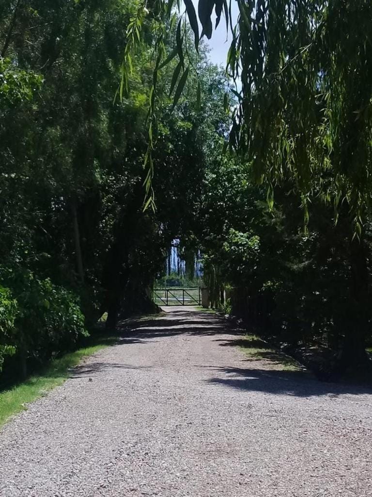 Excellent country house in a private neighborhood for 10 House in Luján de Cuyo