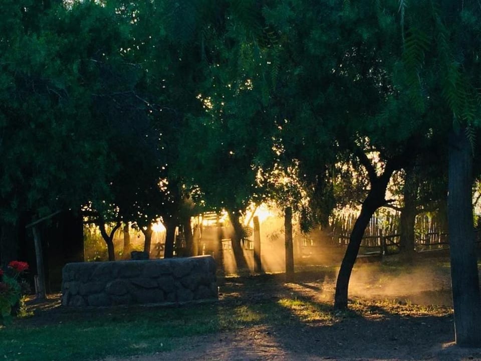 Excellent country house in a private neighborhood for 10 House in Luján de Cuyo