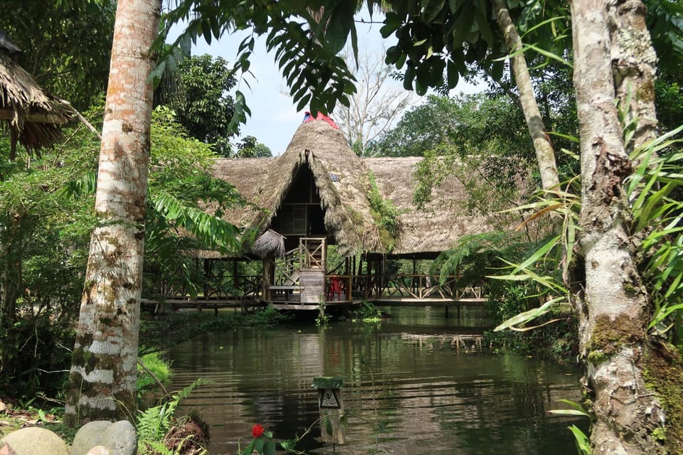 Lake view