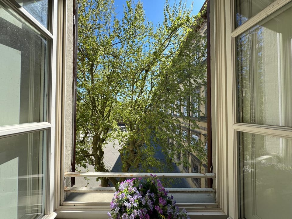 View (from property/room)