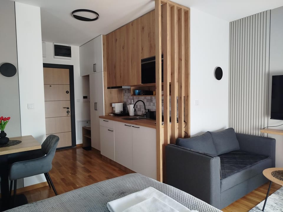 Studio Sky Apartment in Vojvodina