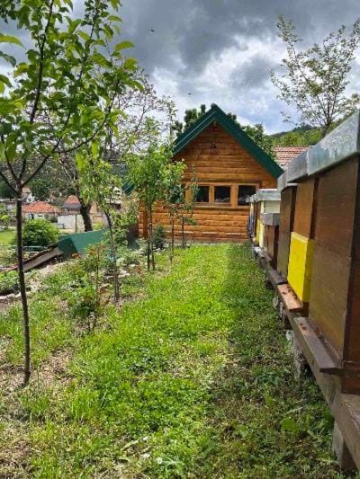 Garden, Garden