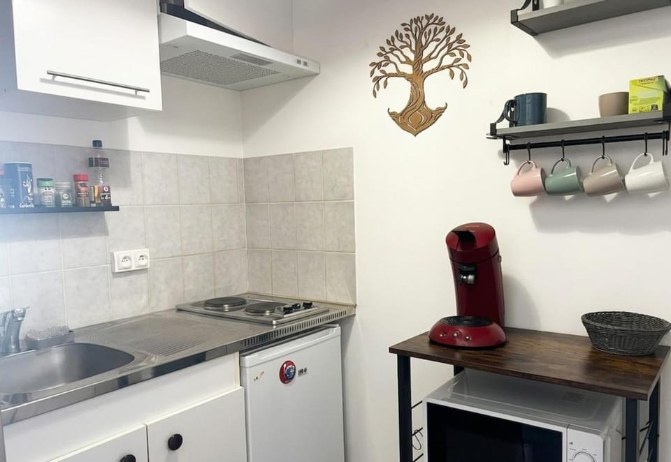 Studio cosy à Gérardmer 5 min centre 10 min lacs Apartment in Gérardmer